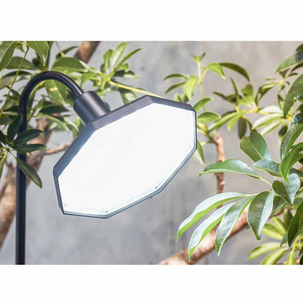 ROKI-Octagon-50W（ロキ オクタゴン 50W） – linkplants -リンクプランツ-