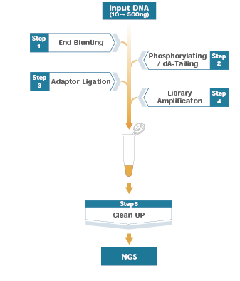 GenNext® NGS Library Prep Kit -KODEasy®- - 製品情報 | バイオ事業