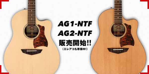 FGNアコースティックギターの特徴 : フジゲン工場ブログ