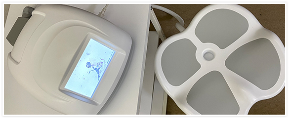 骨盤底筋 マシン（アブソリュートマセクサーミニ） 公式サイト