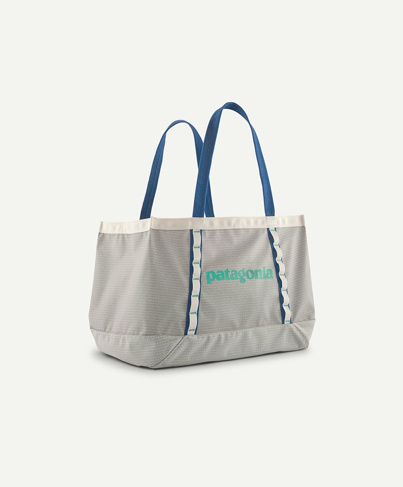 Black Hole Tote 25L(ALL BCW/バーチホワイト): Patagonia