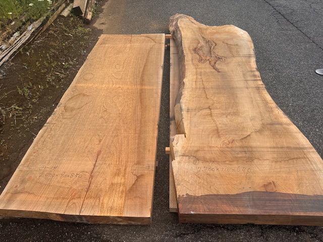 長マ）銘木けやき欅 ケヤキ 幅880他 巨大盤 貴重な乾燥材 杢 一枚板 耳