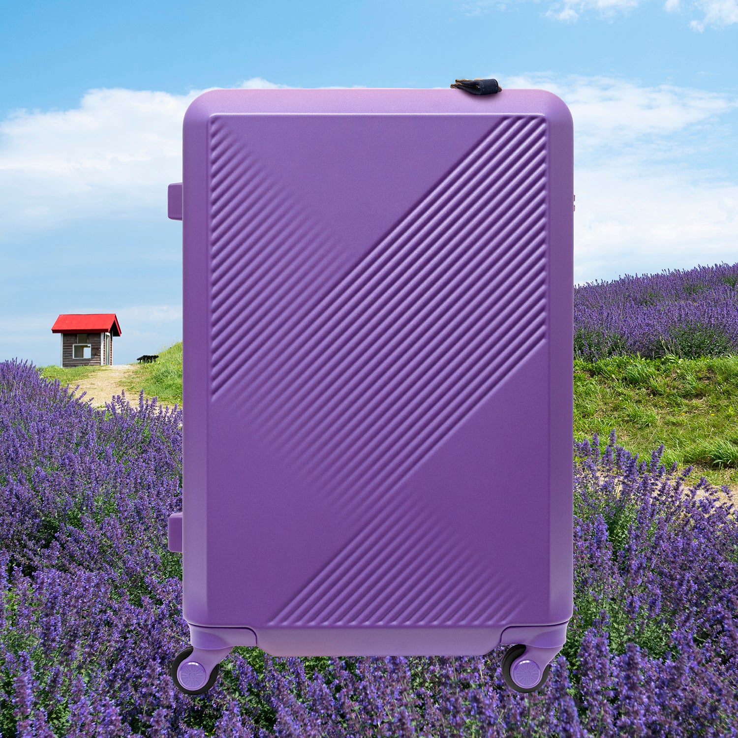 Brush 北海道カラーパレットスーツケースLTD2 MIDDLE_No.5803377 – ACE