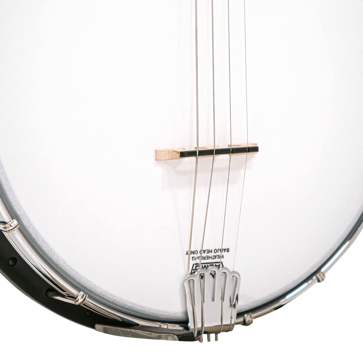 Amazon.com: Gold Tone AC-4IT Composite Irish Tenor Banjo : Musical