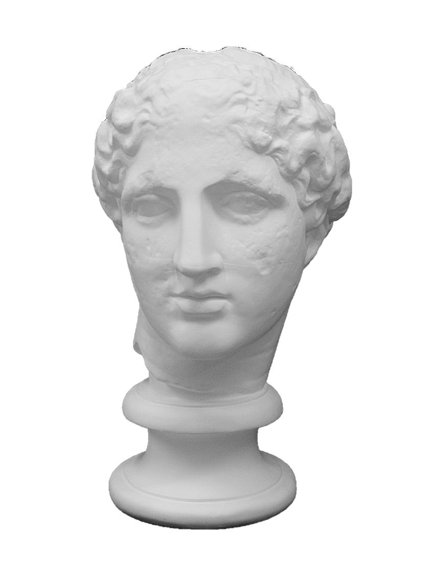 Amazon.co.jp: 石膏像 S－202 パルテノン首像（ラボルト） H