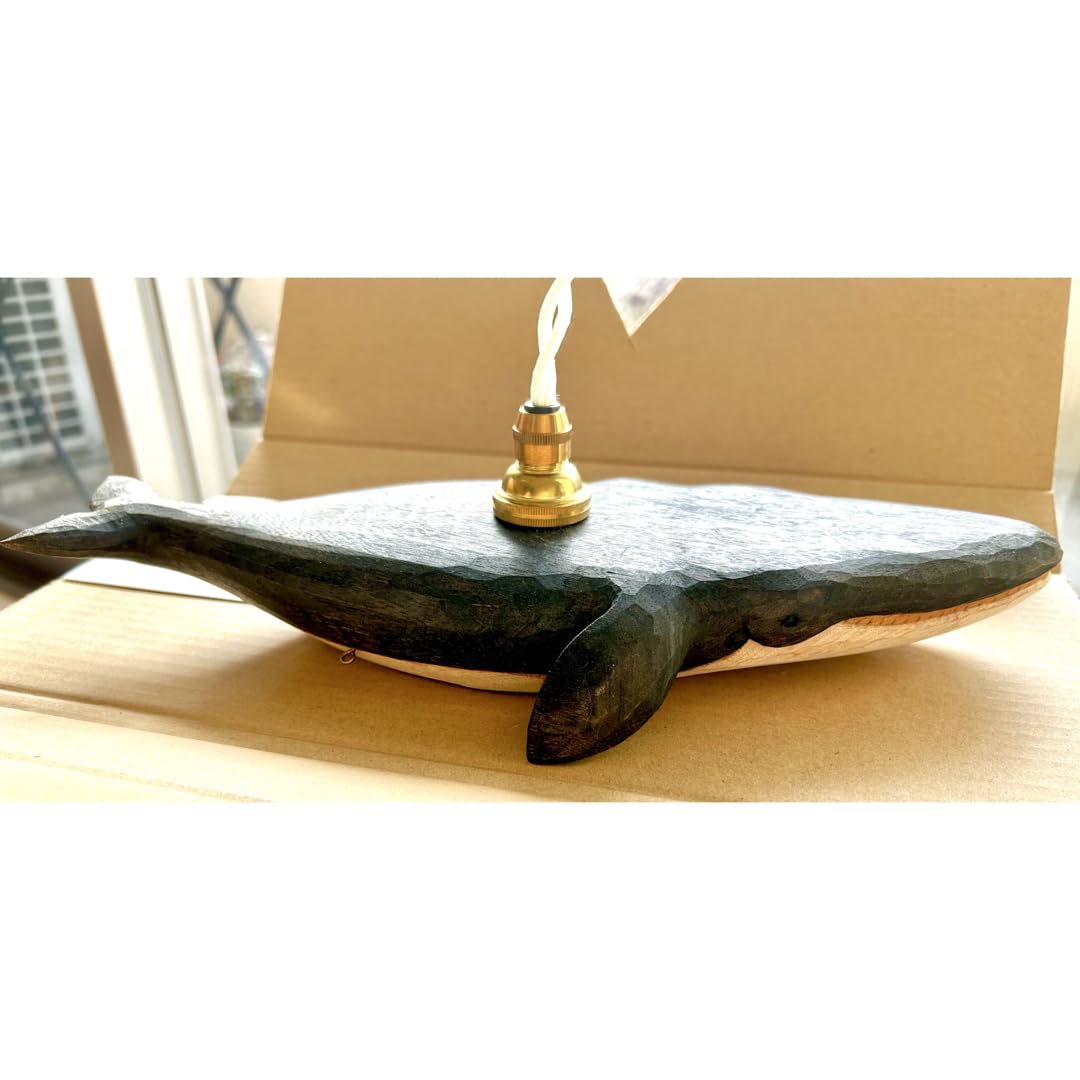 Amazon.co.jp: レア KIYATA クジラライト : おもちゃ