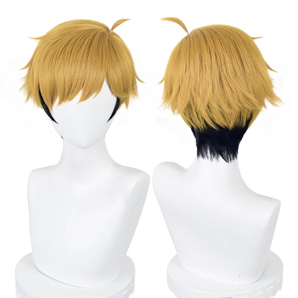 Amazon.co.jp: 猫の城 宮侑 コスプレウィッグ 耐熱 かつら アニメ 仮装