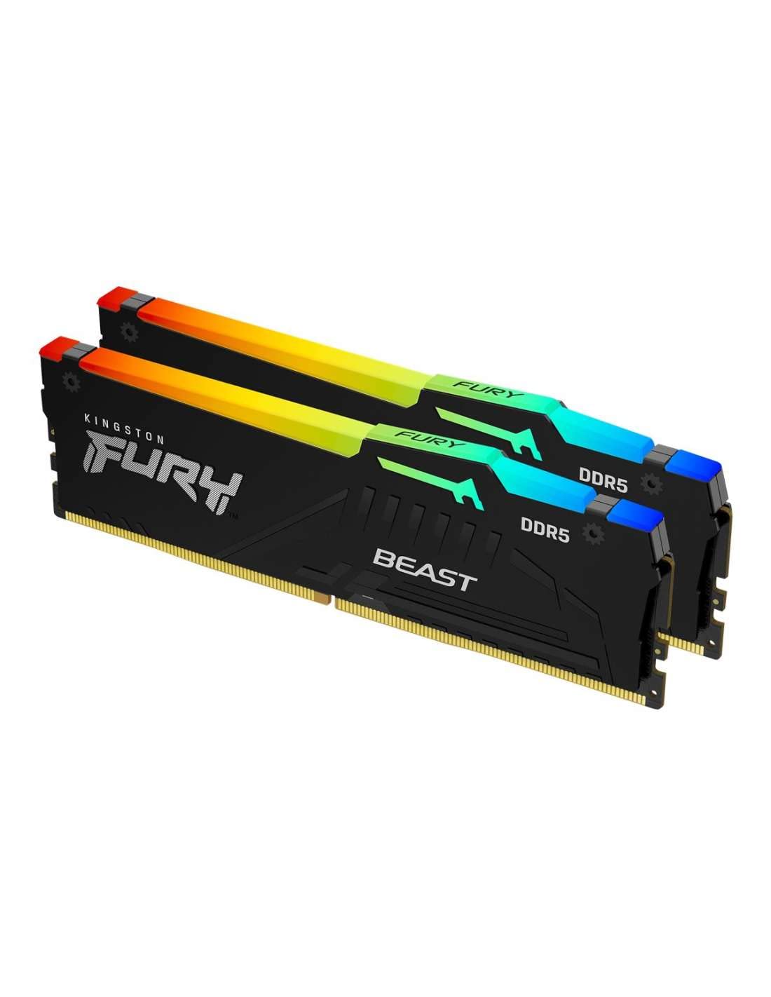 Amazon.co.jp: Kingston FURY Beast DDR5 RGB EXPO 16GB (2x8GB