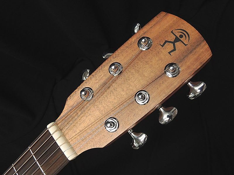 Amazon | aNueNue Bird Guitar aNN-L10E Solid Sitka Spruce Top