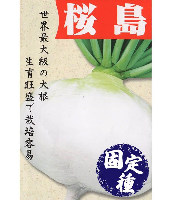 Amazon.co.jp: アサヒ農園 桜島大根（だいこんの種）【固定種】 小袋