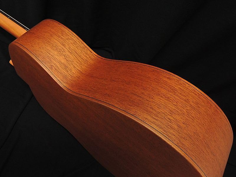 Amazon | aNueNue Bird Guitar aNN-L10E Solid Sitka Spruce Top