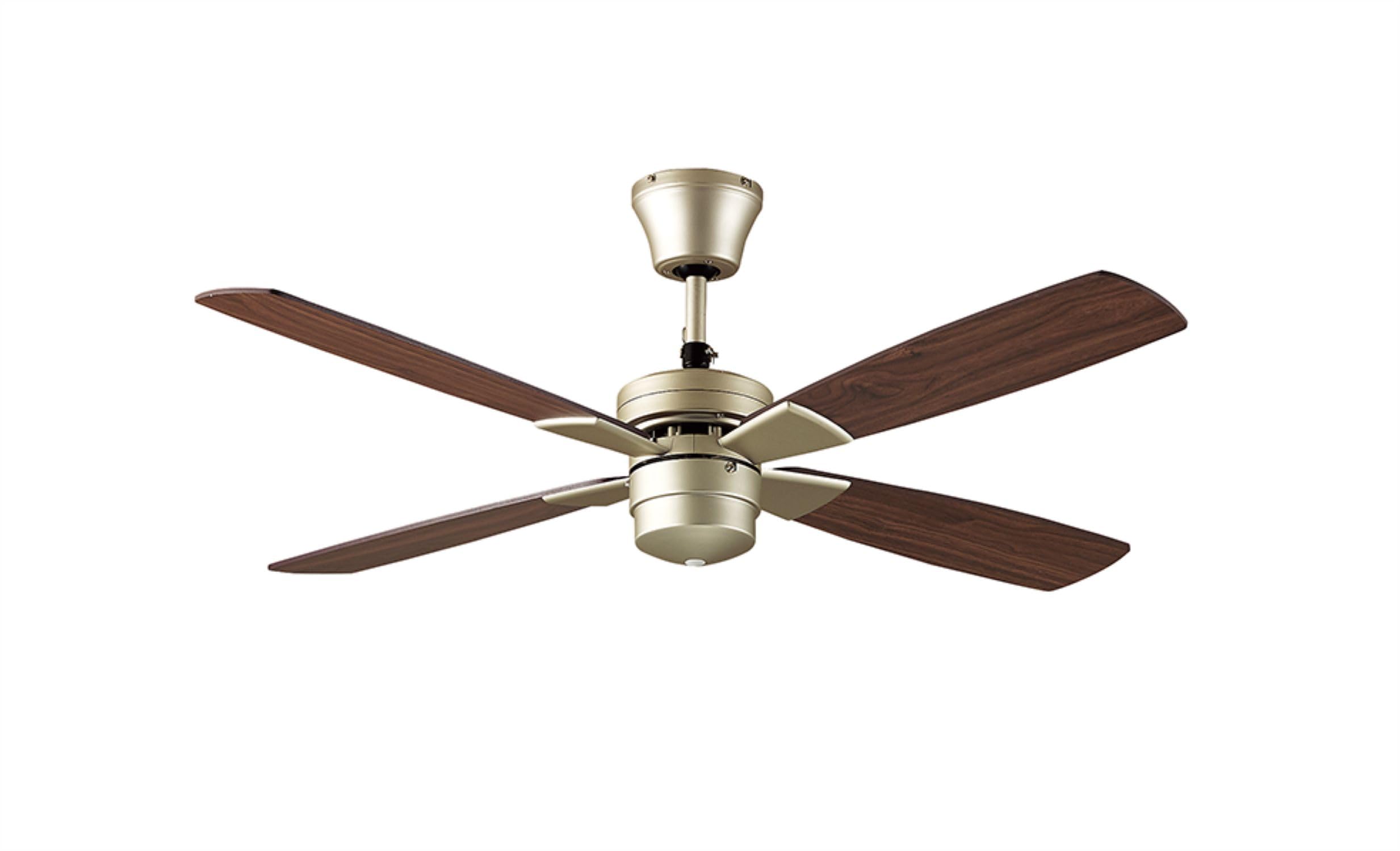 Amazon | 大光電機(DAIKO)シーリングファン 灯具なし 簡易取付式 ASN