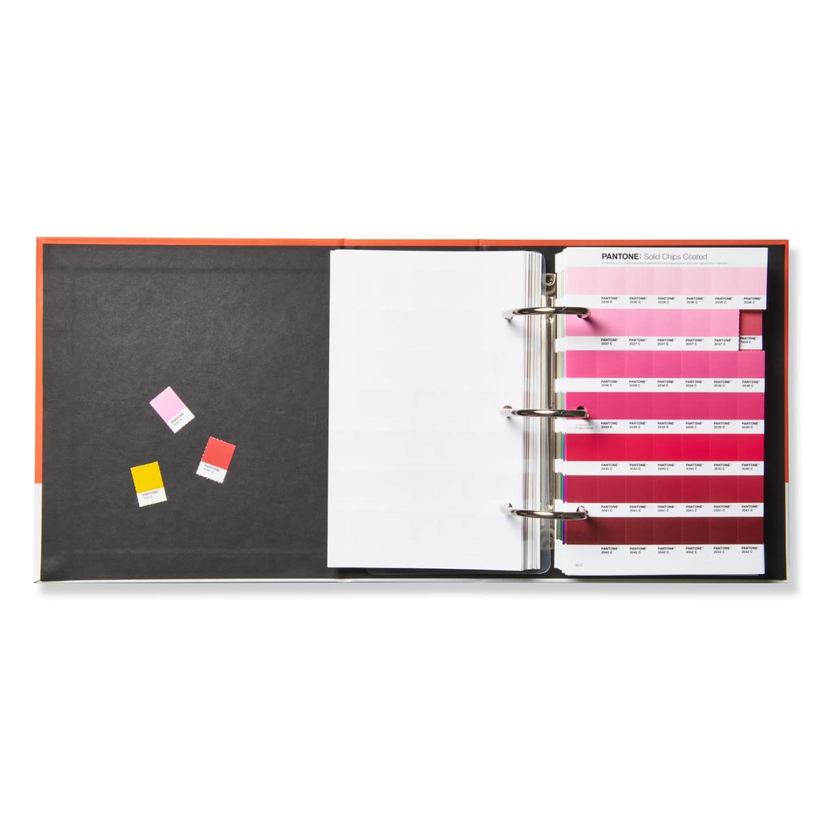 Amazon.com: Pantone Solid Chips Coated & Uncoated | Shareable