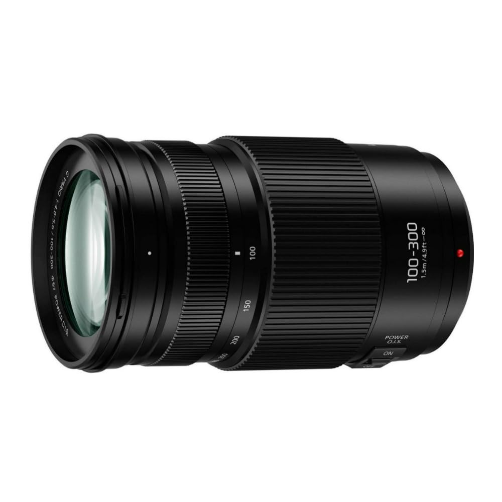 Amazon.com : PANASONIC LUMIX G II Vario Lens, 100-300MM