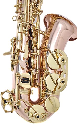 Amazon | PLAYTECH (プレイテック) アルトサックス ローズブラス
