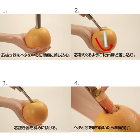 Amazon.co.jp: 果汁搾り機 カジュッタ（CAJYUTTA） CJT3-04 本体・交換