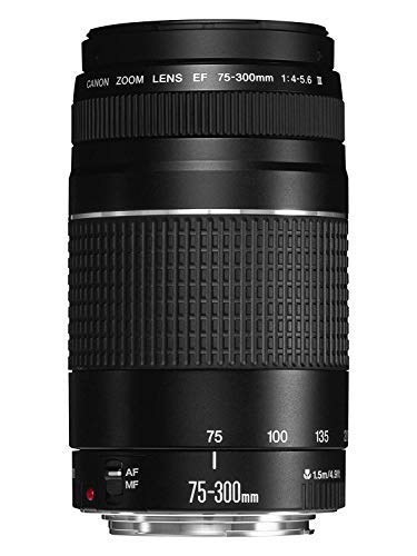 Amazon.com : Canon EF 75-300mm f/4-5.6 III Telephoto Zoom Lens for