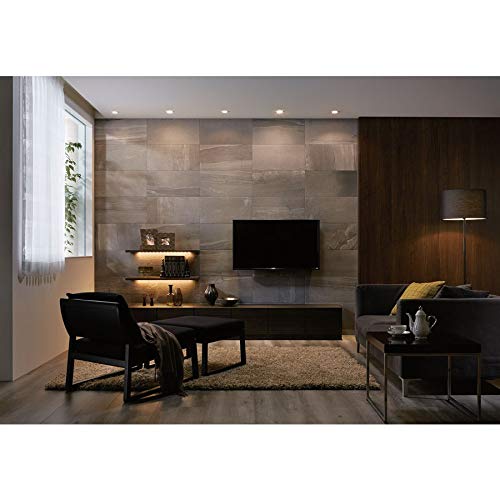 Amazon.co.jp: 壁タイル エコカラットプラス ストーングレース ECP-630