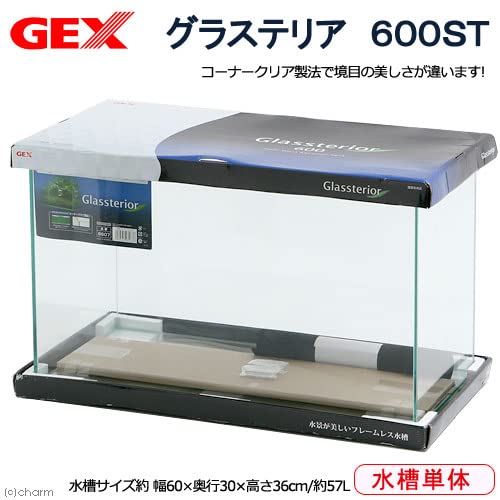 Amazon | GEX グラステリア 600ST お一人様1点限り 60cm