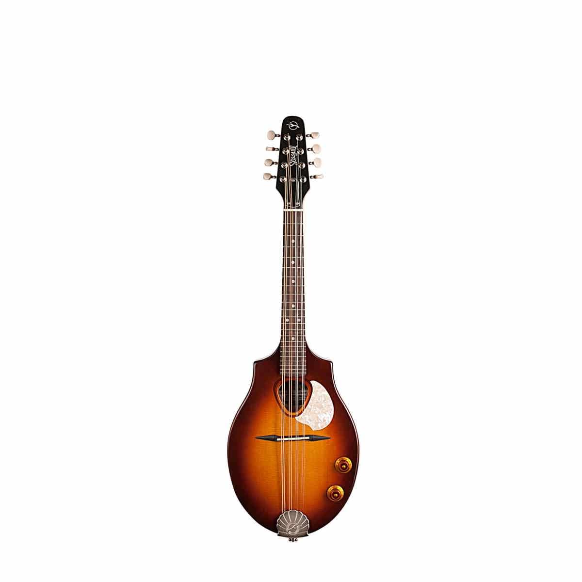 Amazon | Seagull Guitars S8 MANDOLIN SUNBURST EQ エレクトリック