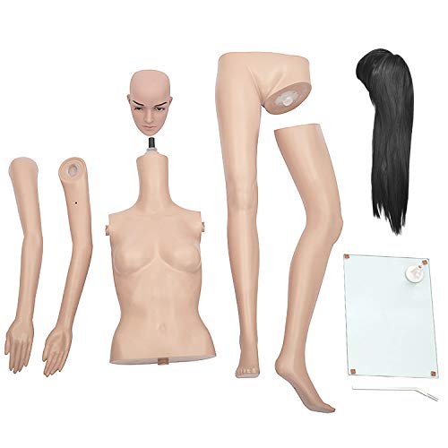 Amazon.co.jp: [ダイセイ]マネキン 全身マネキン レディース 176