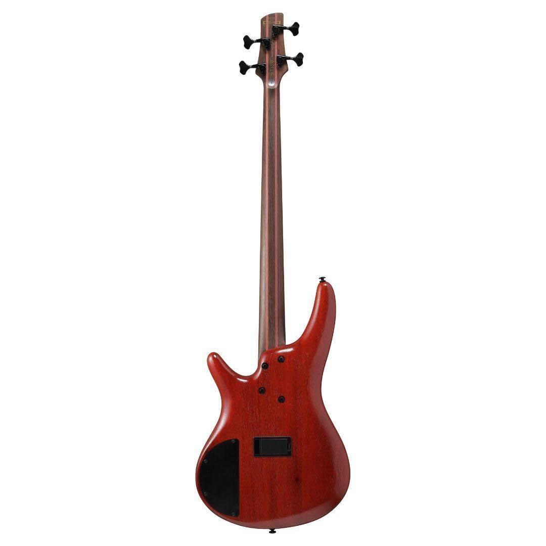 Amazon.com: Ibanez SR Premium 4-string Electric Bass Guitar