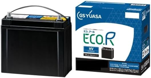 Amazon.co.jp: GSユアサ (ジーエスユアサ) EHJ S42B20R ECO.R HV