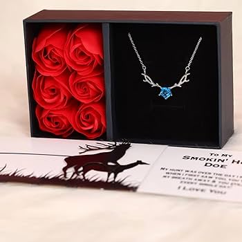 Amazon.com: Locket necklace, Deer Necklace with Slider Message