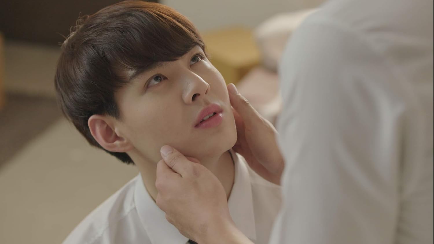 Love by Chance DVD-BOX | eBay