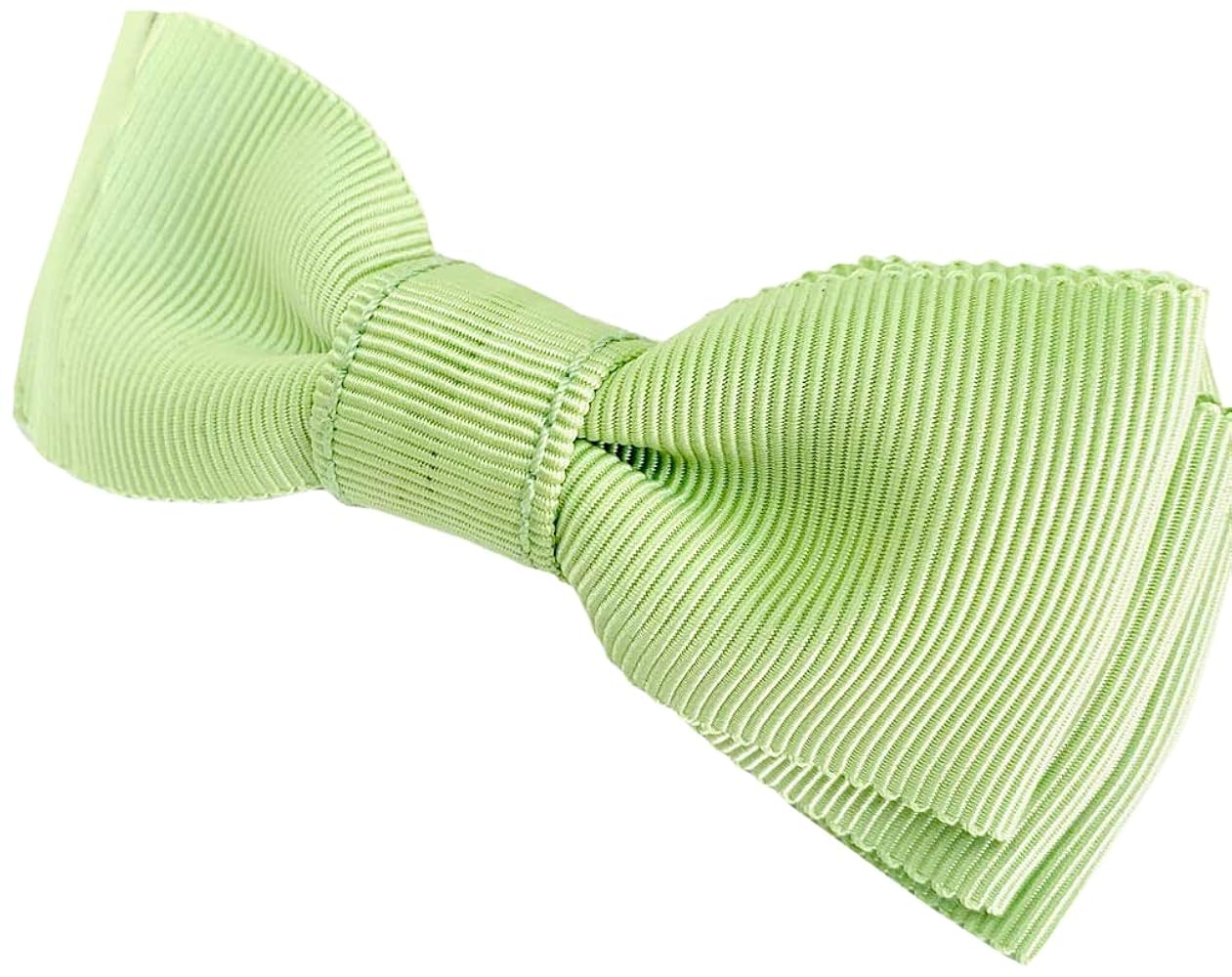 アレクサンドルドゥパリカメリアクリップ グリーン アレクサンドルドゥ