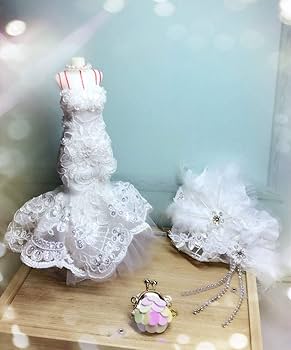 Amazon.co.jp: Dolly Paraブライス衣装 オビーツ24衣装 ジェニー衣装