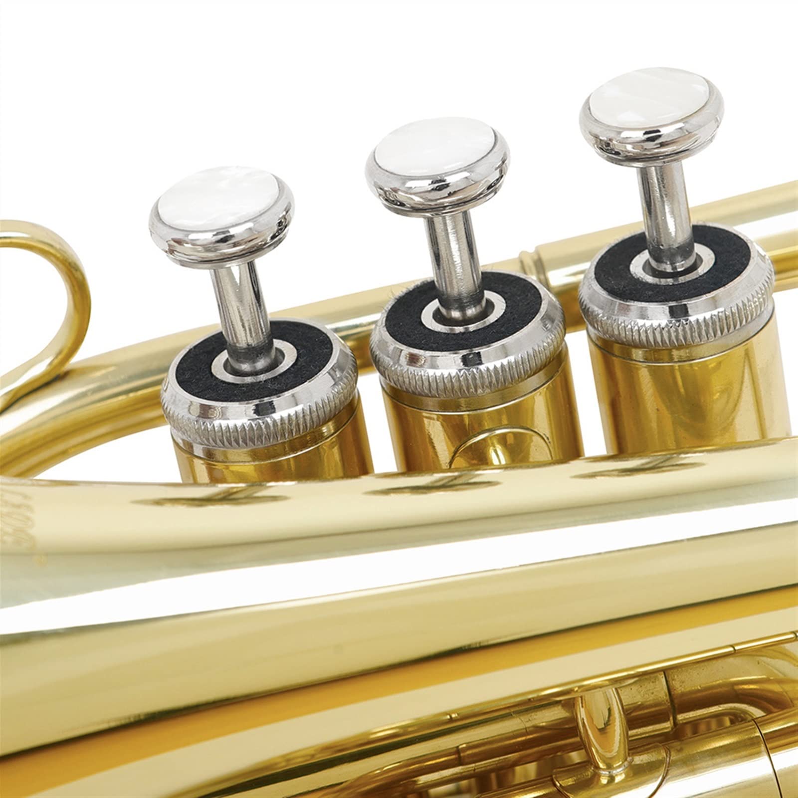 Amazon.co.jp: プロのポケットトランペット Bb キーミニチュア