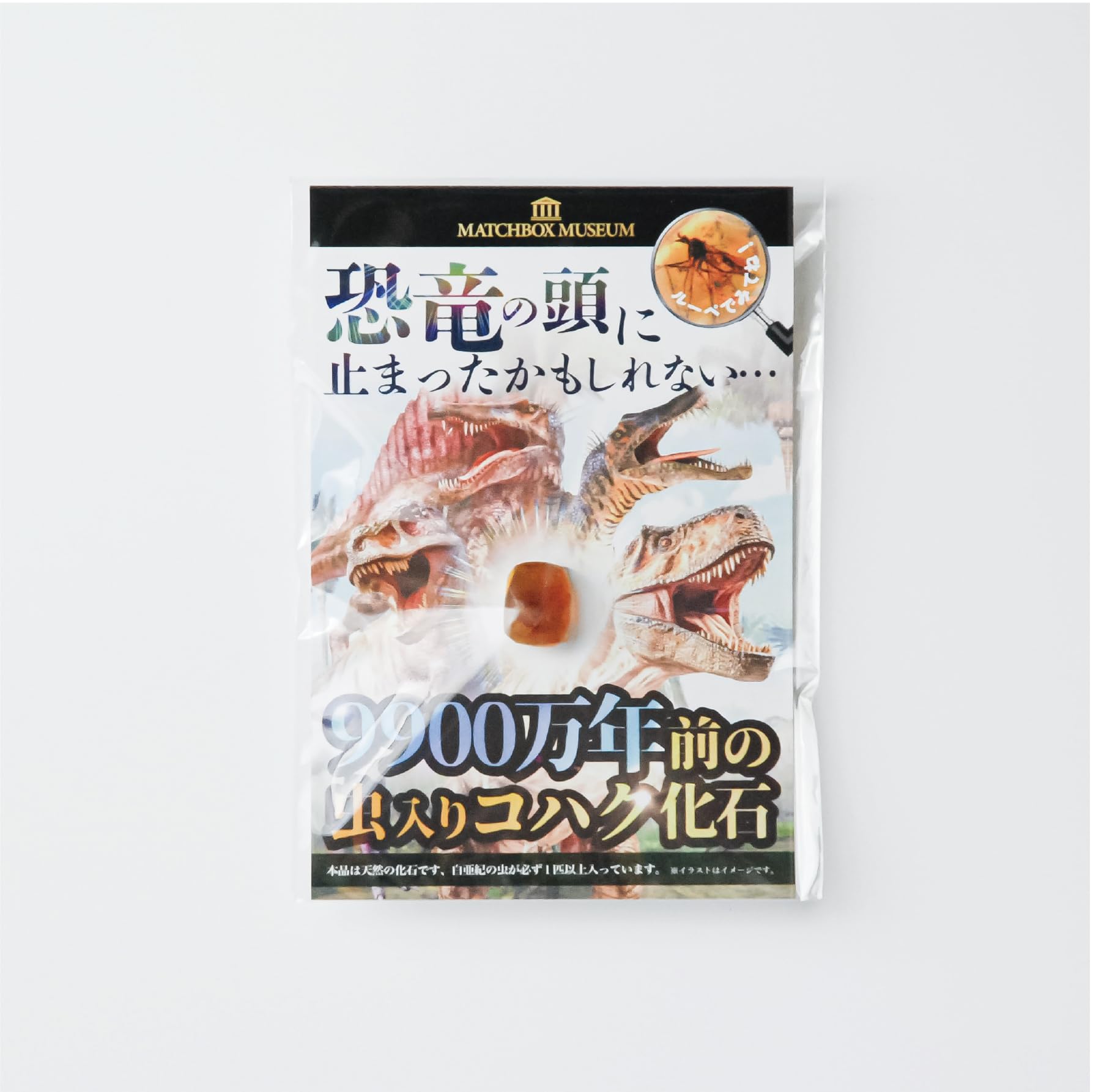 Amazon | 9900万年前の虫入りコハク化石 恐竜時代の虫入り琥珀 白亜紀