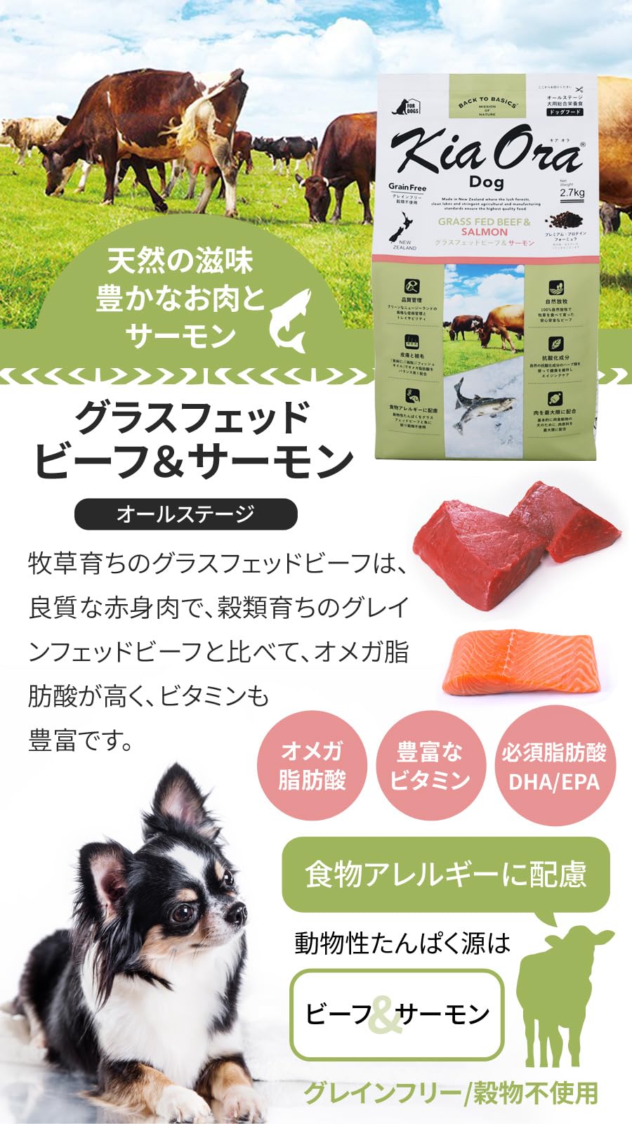 Amazon.co.jp: キアオラ ドッグフード グラスフェッドビーフ＆サーモン