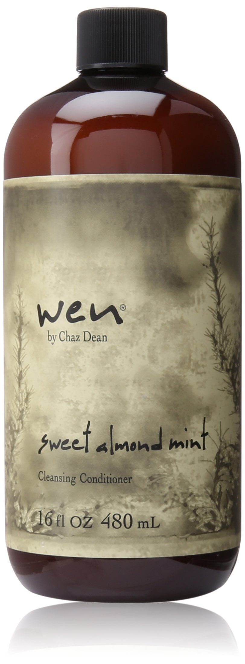 Amazon.com : Chaz Dean Wen Cleansing Conditioner, Sweet Almond
