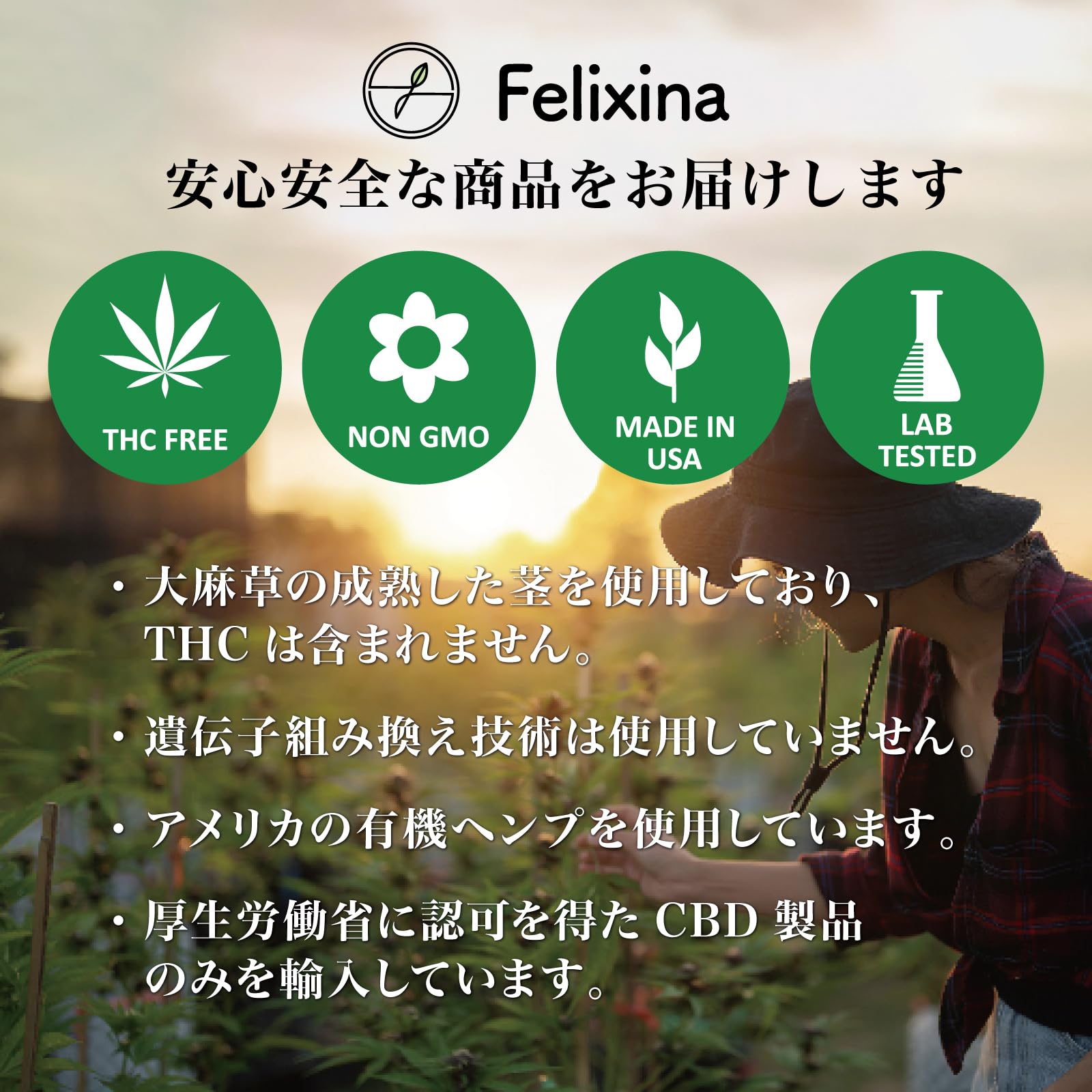 Amazon | 《Felixina》100%大麻由来 超高濃度89.1％ Granddaddy Purple