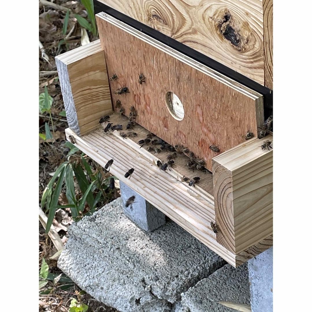 日本蜜蜂重箱式巣箱ハニーズミニ！4段ニセット！ 【公式通販】