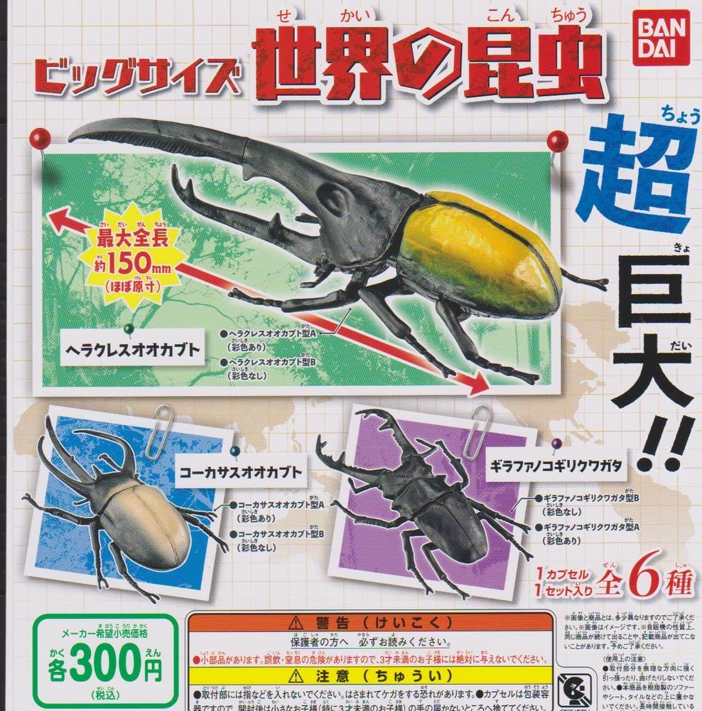 Amazon.co.jp: ビッグサイズ 世界の昆虫 超巨大 全6種set ヘラクレス