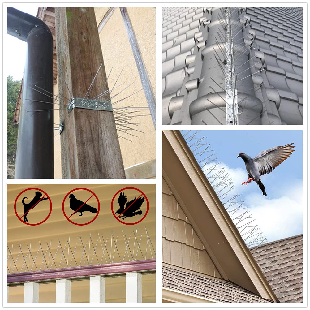 Amazon.co.jp: AOKKR 鳥よけ 鳩よけグッズ 100%ステンレスピン 長さ3.3