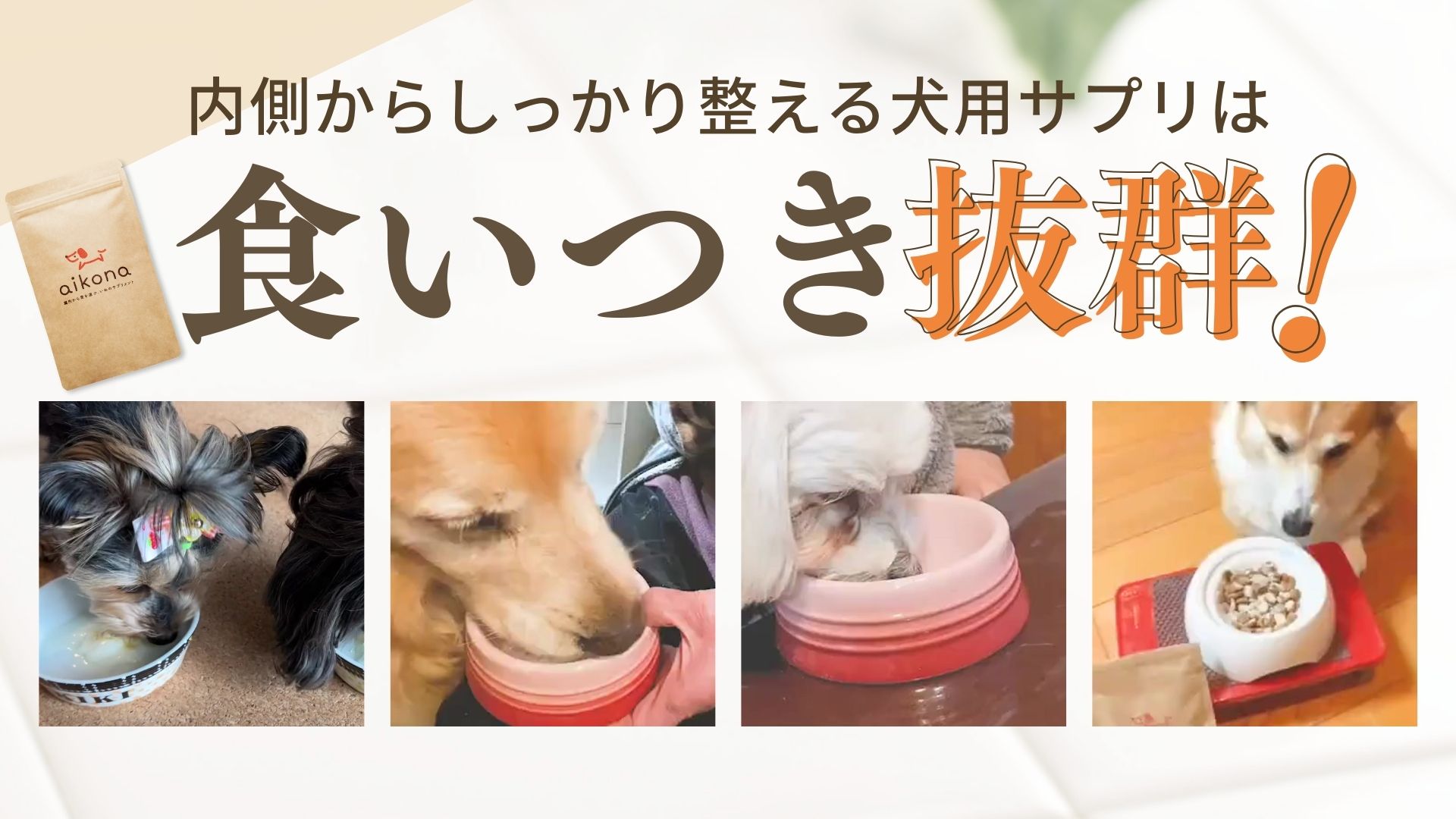 Amazon.co.jp: 【獣医師監修】 aikona あいこな 犬 サプリ 腸活 腸内