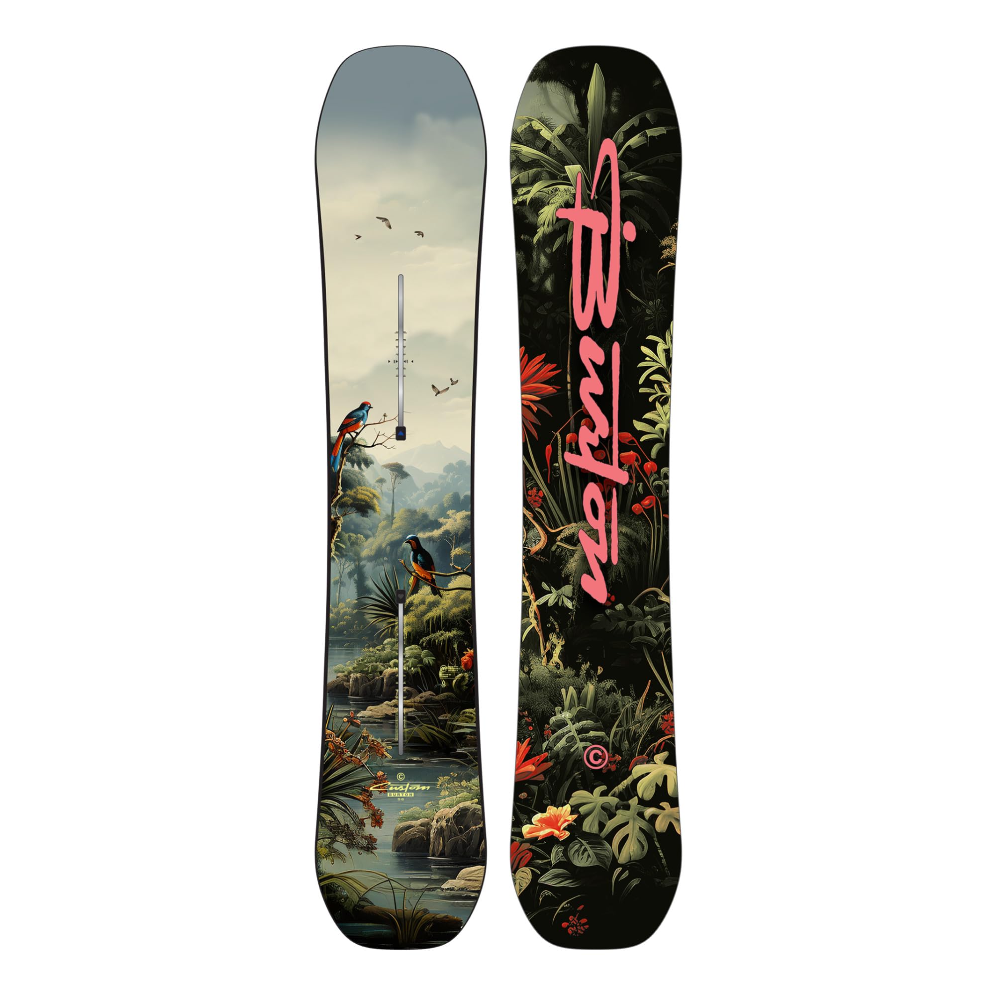 Amazon.com : Men's Burton Custom Camber Snowboard, 158cm, Jungle