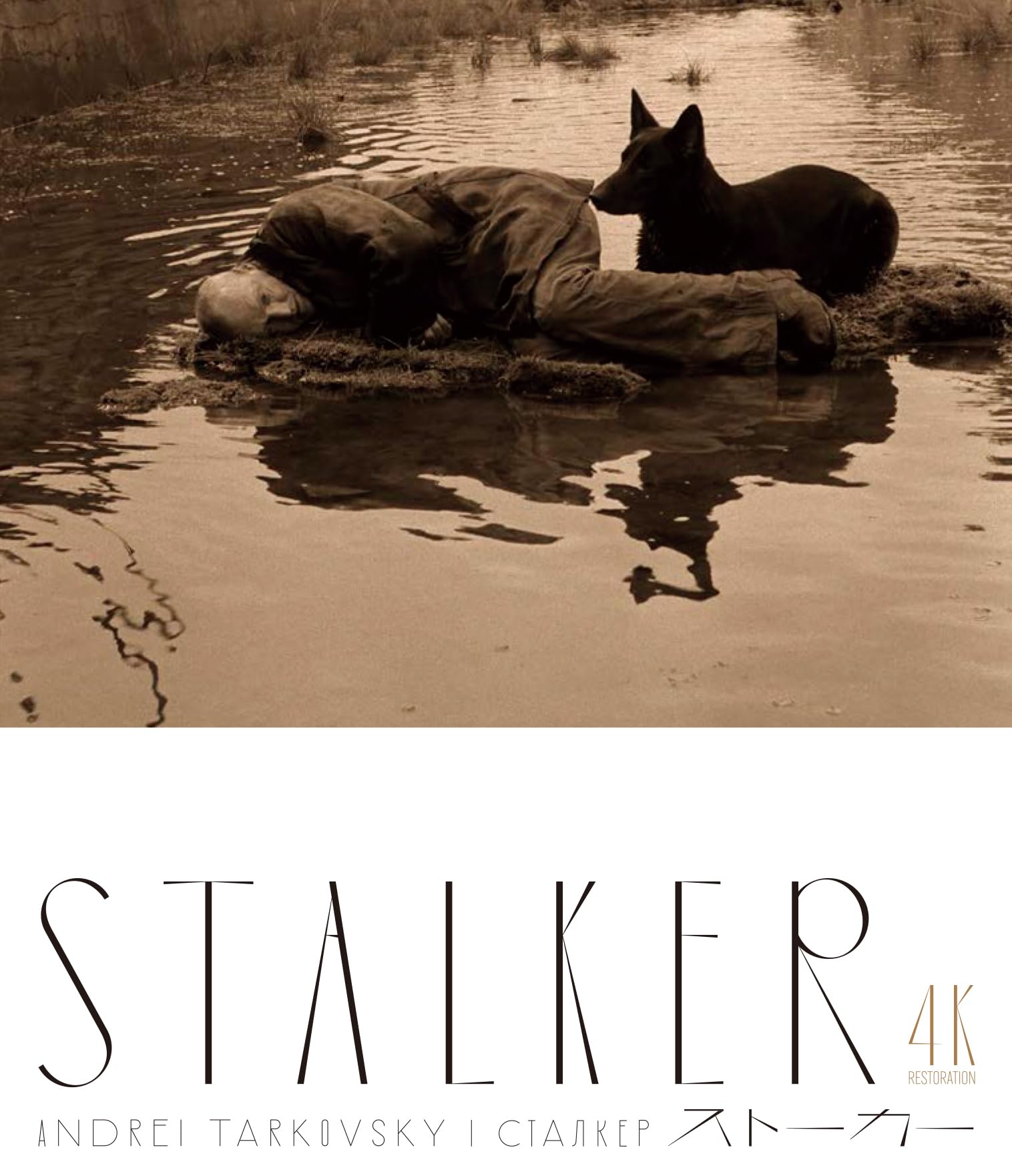 Amazon.co.jp: ストーカー アンドレイ・タルコフスキー 4Kレストア Blu