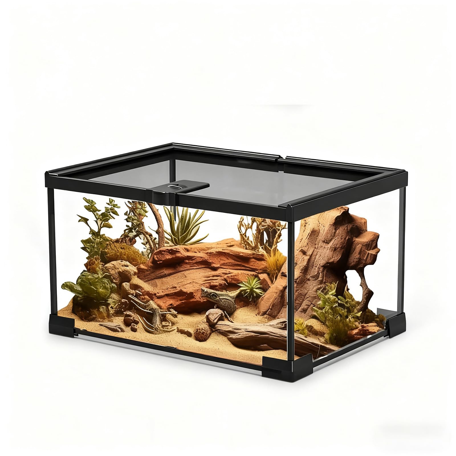 Amazon | 爬虫類 ケージ レプタイルボックス 20x20x30cm グラス