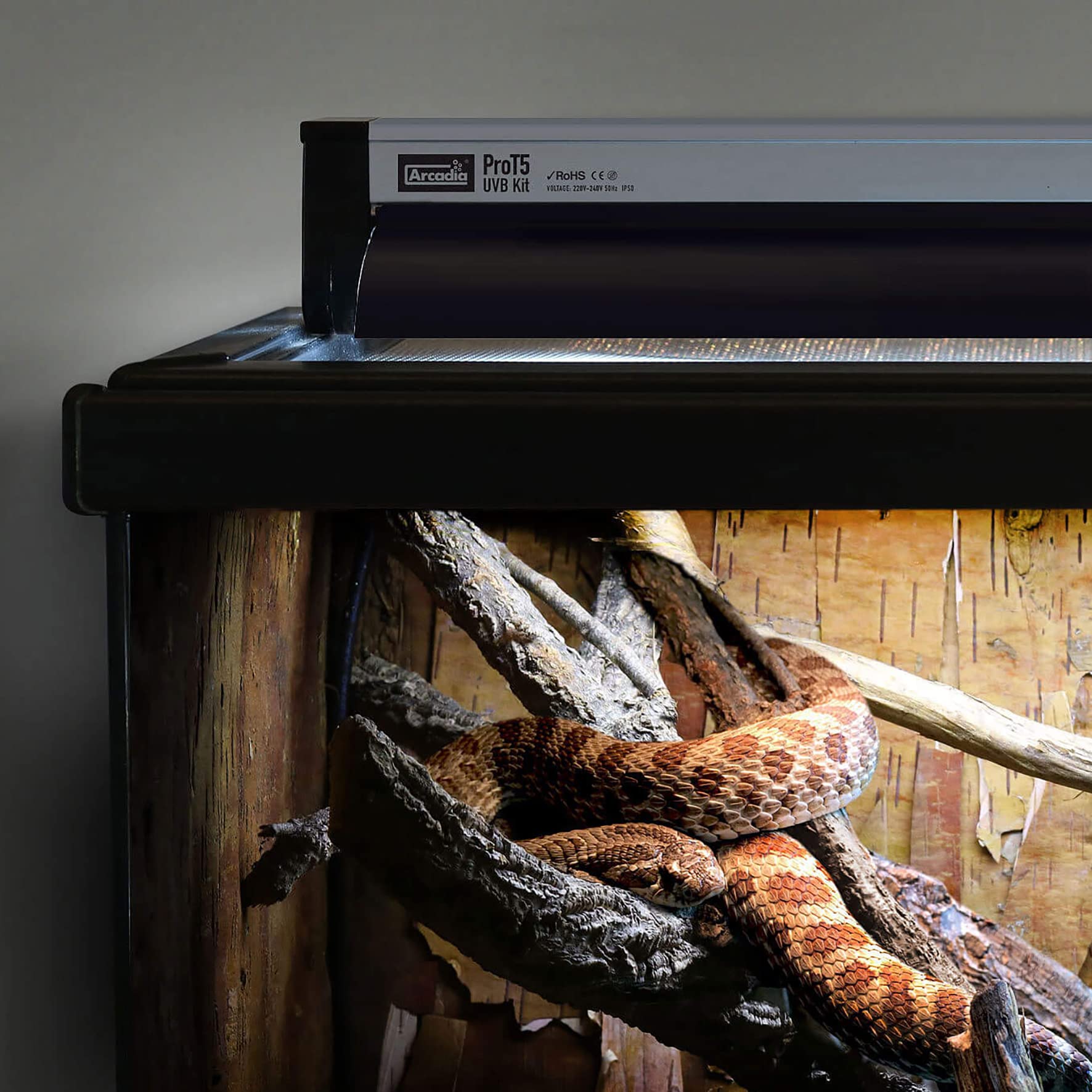 Amazon.co.jp: Arcadia Pro T5 UVB 照明キット - 24W - フォレスト