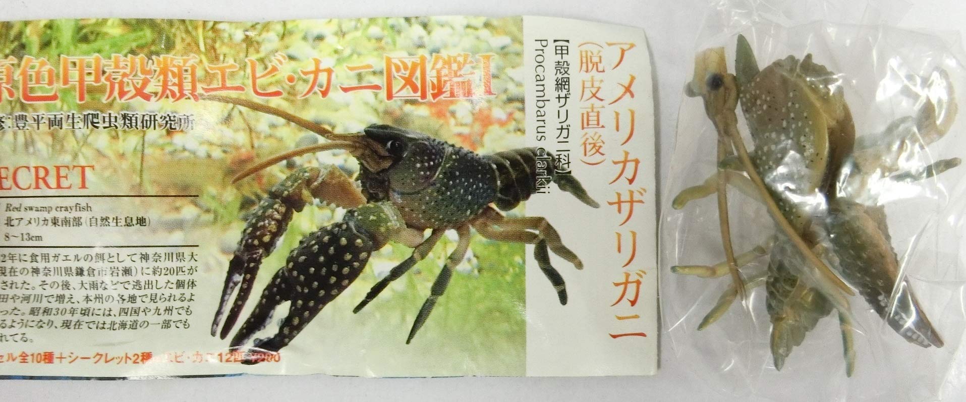 Amazon | 原色甲殻類 エビ・カニ図鑑I シークレット アメリカザリガニ