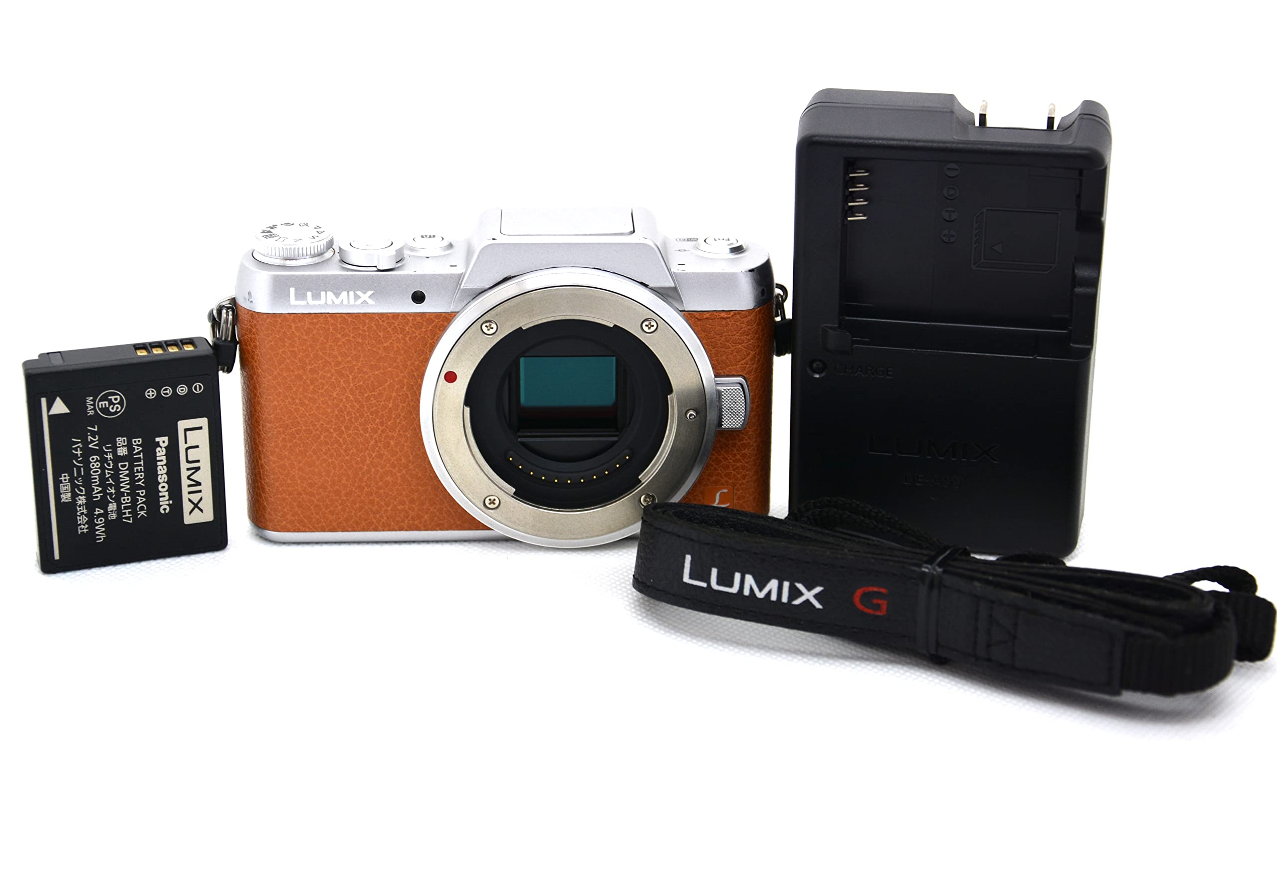 防湿庫保管 パナソニック LUMIX DMC-GF7 ボディ 保護フィルム 防湿庫