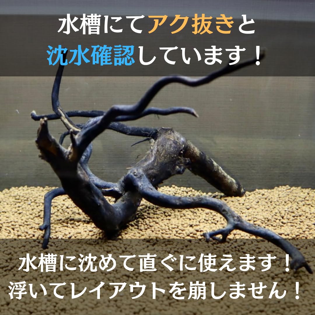 Amazon | アク抜き済み枝流木 45cm水槽用 沈水確認 あく抜き済み