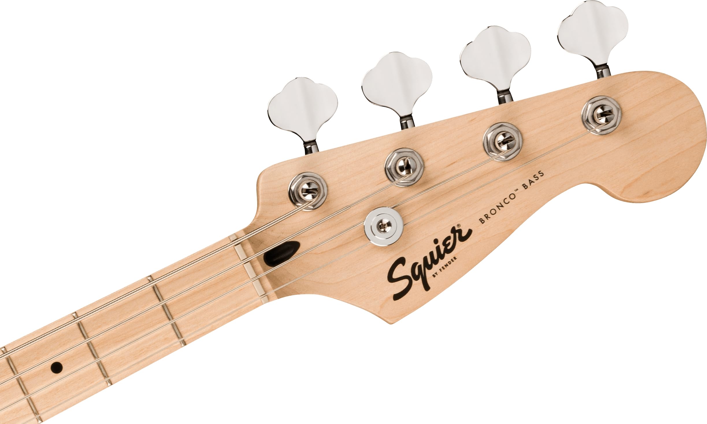 Amazon.co.jp: Squier by Fender スクワイヤー エレキベースSquier