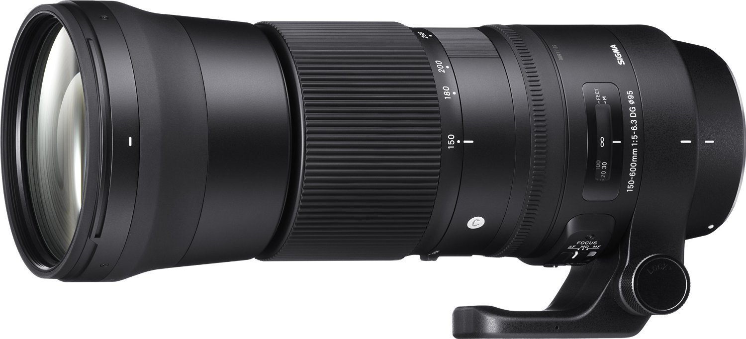 Amazon.com : Sigma 150-600mm F5-6.3 DG OS HSM Zoom Lens