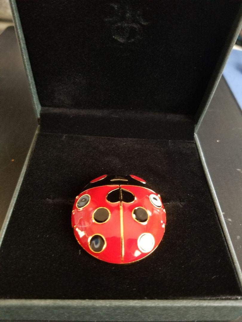 Amazon | ジョジョ展限定 ジョルノ てんとう虫のブローチ | ブローチ 通販